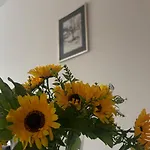 5 Apartment *