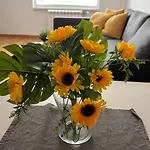 5 * Skopje