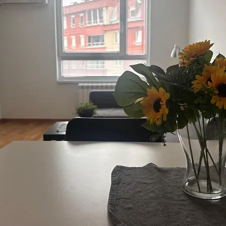 アパート 5 スコピエ